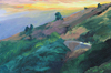 mt. tamalpais II