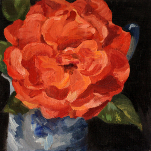 America rose