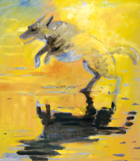 sundog